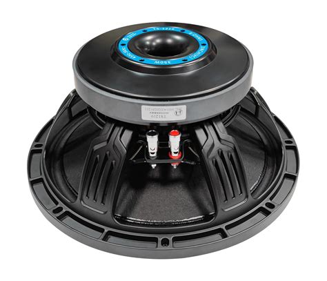 10 Inch Speaker Infiniti