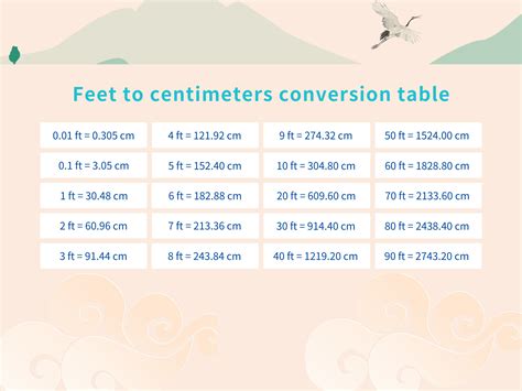 14 Feet In Cm
