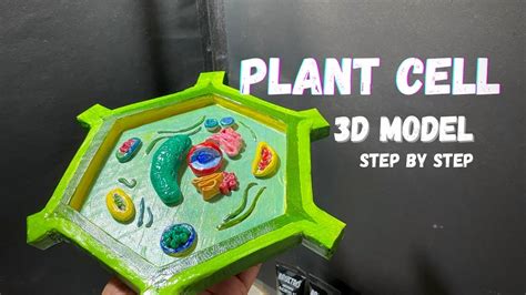 3D Of Plant Cell