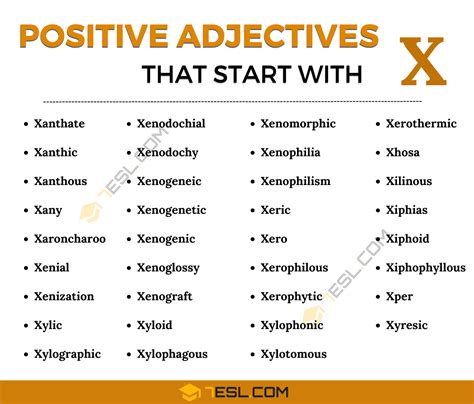 Adjectives Starting X