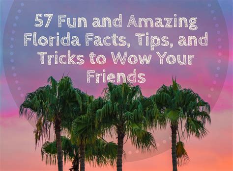 Amazing Facts About Florida