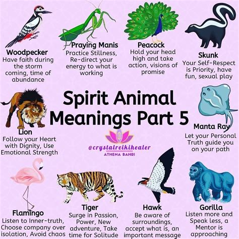 Animals And Their Meanings
