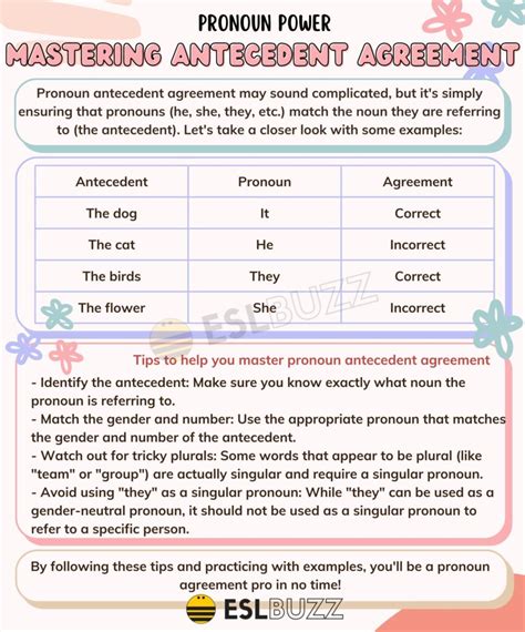 Antecedent And Pronoun