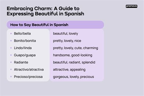 Bella Translation Spanish