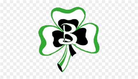 Berrien Springs High School