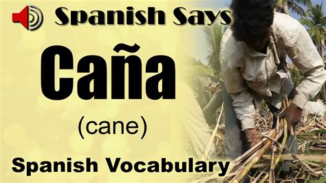 Cane In Spanish