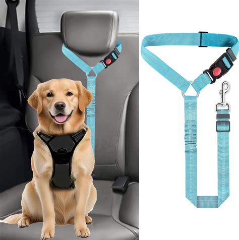Dog Car Seat Belt Harness: The Essential Safety Guide