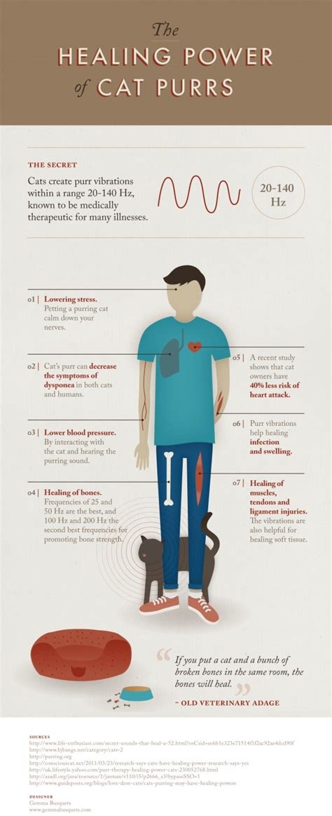 Cat Purrs Healing