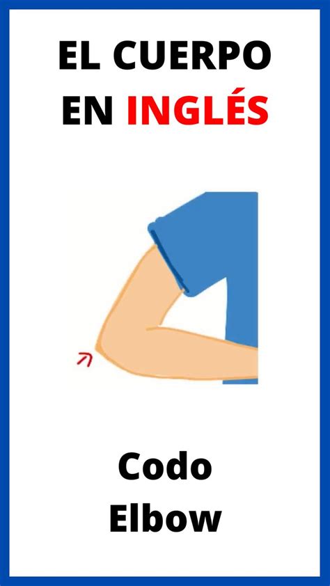 Codo In English