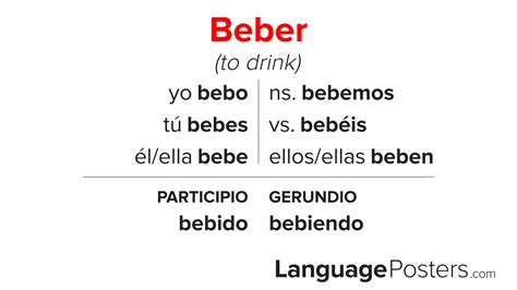Conjugate The Verb Beber