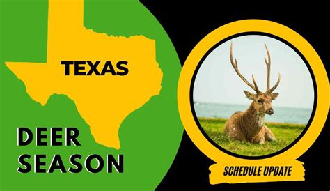 Deer Season In Texas