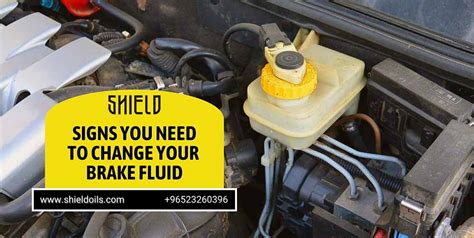 Do Cars Lose Brake Fluid? Everything You Need To Know