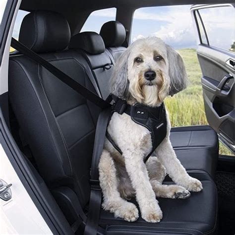 Dog Car Harness Seat Belt: The Essential Guide For Pet Safety