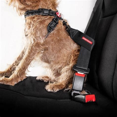 Dog Car Seatbelt Uk