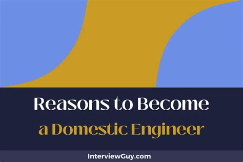 Domestic Engineer