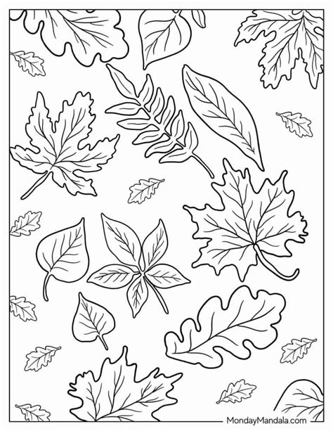 Fall Leaves Coloring