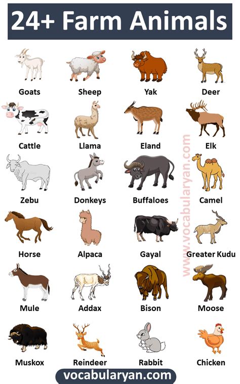 Farm Animals And