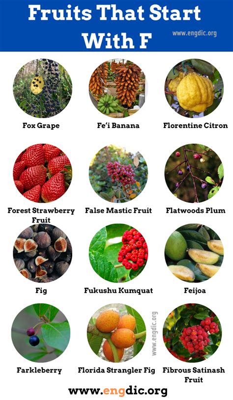 Fruit Beginning F