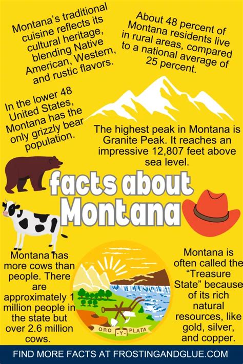 Fun Facts About Montana