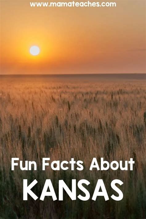 Fun Facts On Kansas