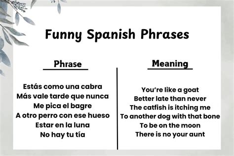 Funny Spanish Phrases
