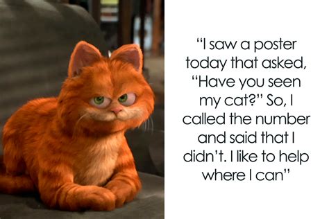 Hilarious Cat Jokes
