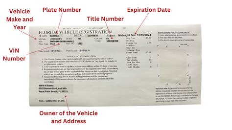 How Long Does Car Registration Take To Arrive