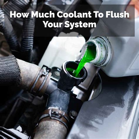 Car Coolant Flush Cost: The Complete Price Guide For 2024