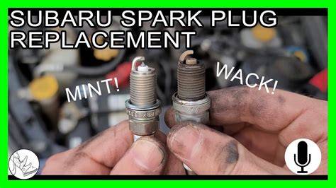 How Often To Replace Spark Plugs Subaru