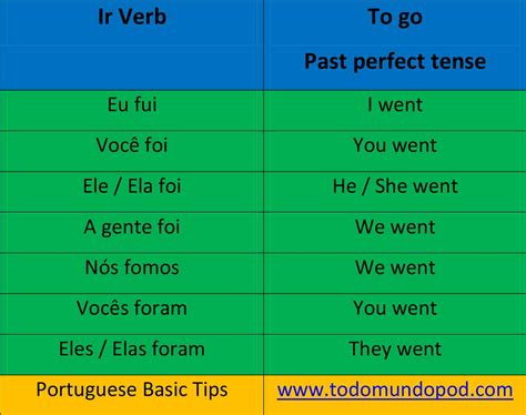 Ir Past Tense