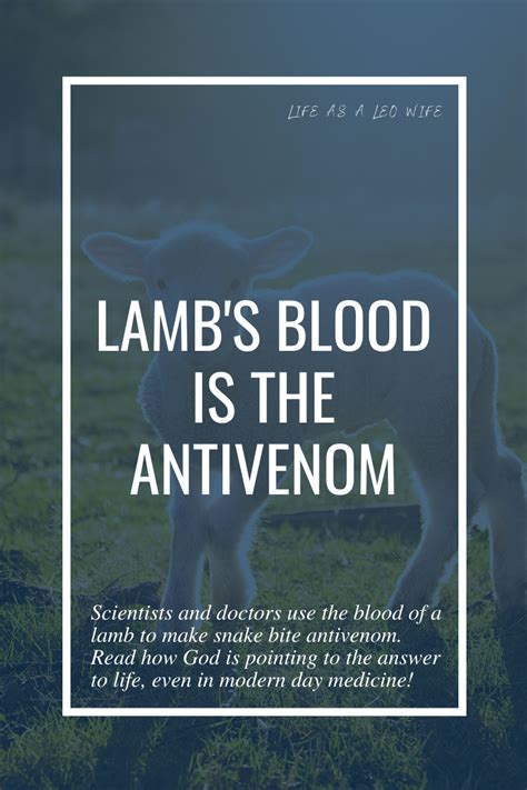 Lambs Blood Anti Venom
