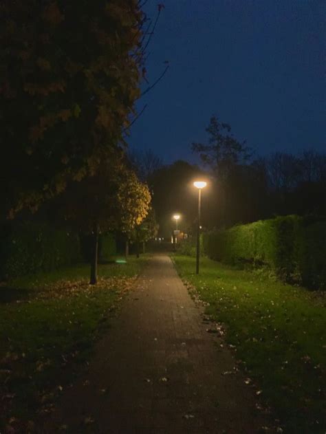 Late Night Walks