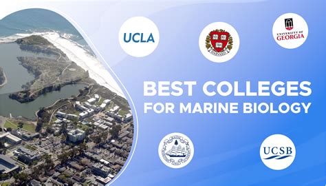 Masters In Marine Biology