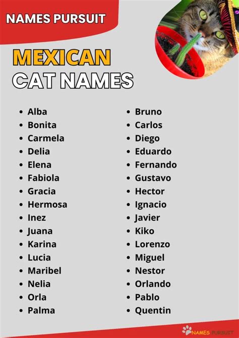 Mexican Cat Names