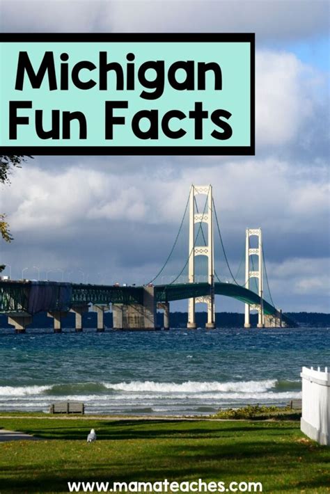Michigan Facts Fun