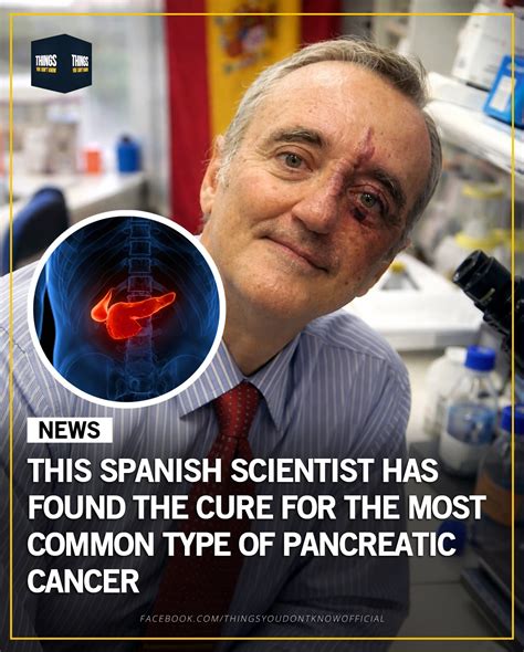 Mocked In Spanish