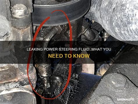 Power Steering Fluid: The Ultimate Guide To Maintenance