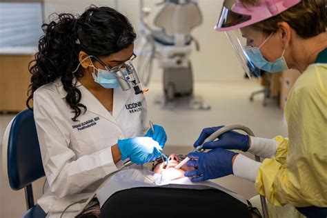 Pre Dental Programs