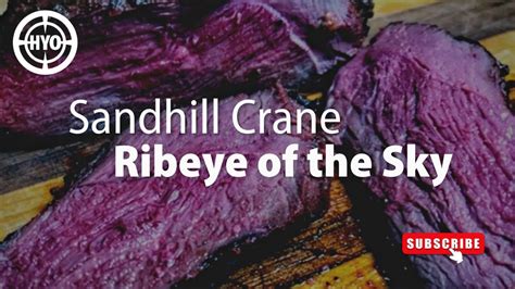 Ribeye In The Sky