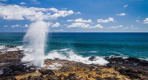 Spouting Horn Park