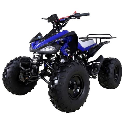 Tao Tao 125