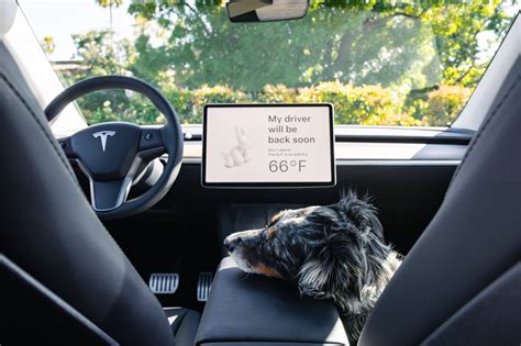 Tesla Dog Mode
