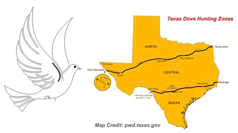 Texas Dove Season