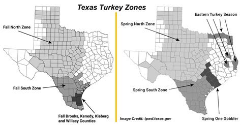 Texas Turkey Season