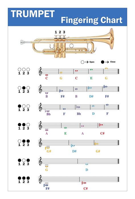 Trumpet Music Notes