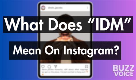 What Does Idm Mean