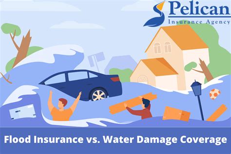 Flood Damage Insurance: Everything You Need To Know
